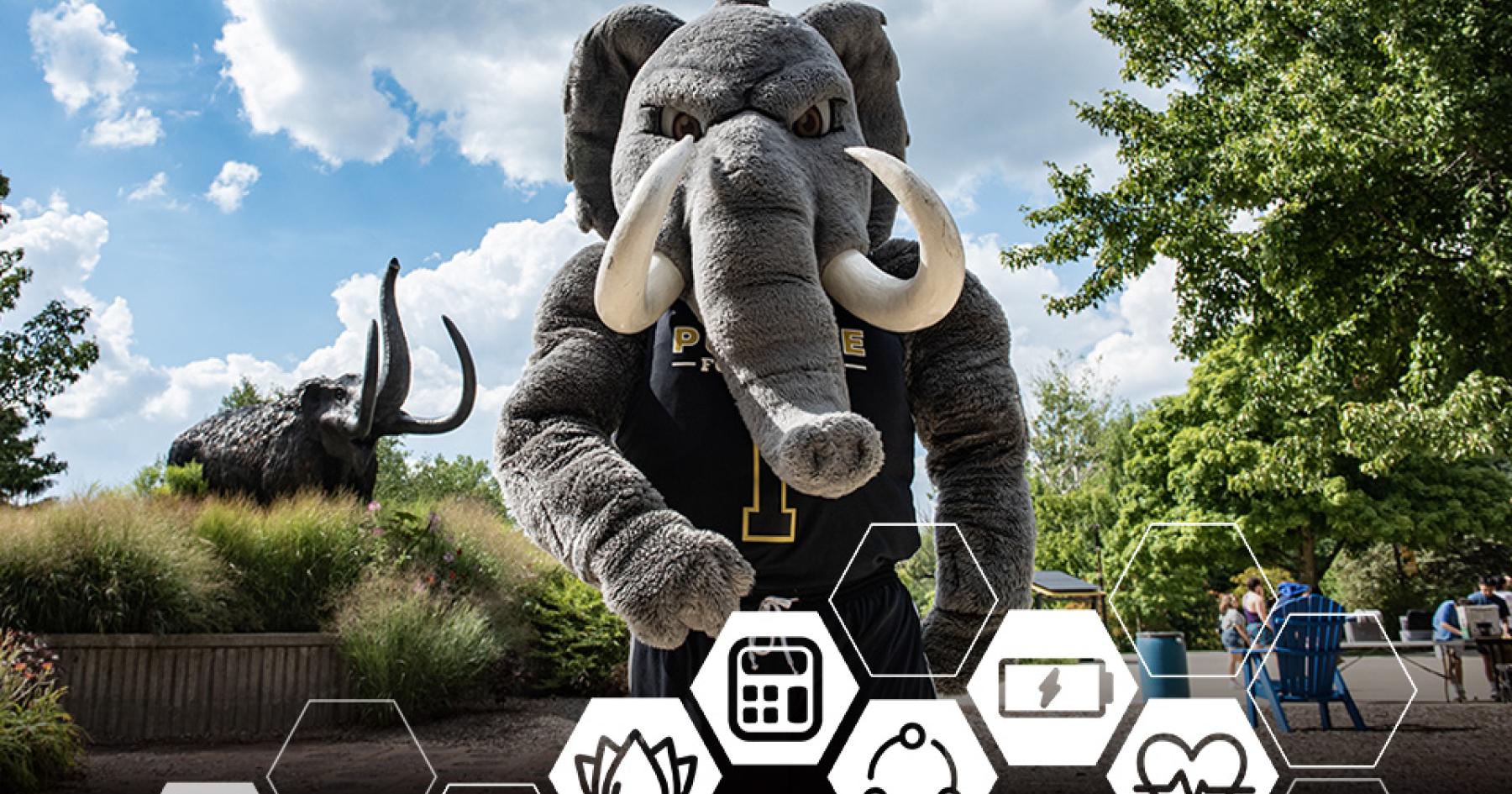 Archery Club Purdue University Fort Wayne